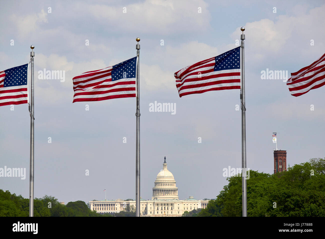rows of us flags flying on the national mall with the us capitol in the background Washington DC USA Stock Photo
