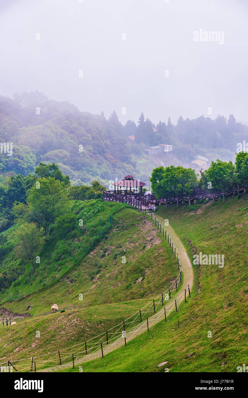 Qingjing Farm High Resolution Stock Photography And Images Alamy