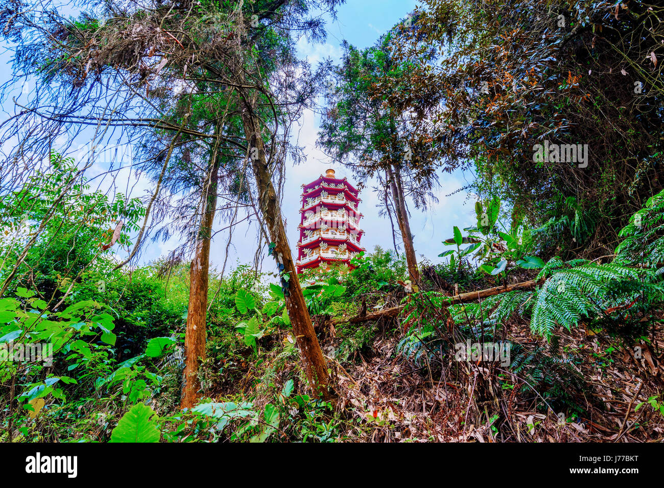 Ci'en pagoda architecture with jungle Stock Photo