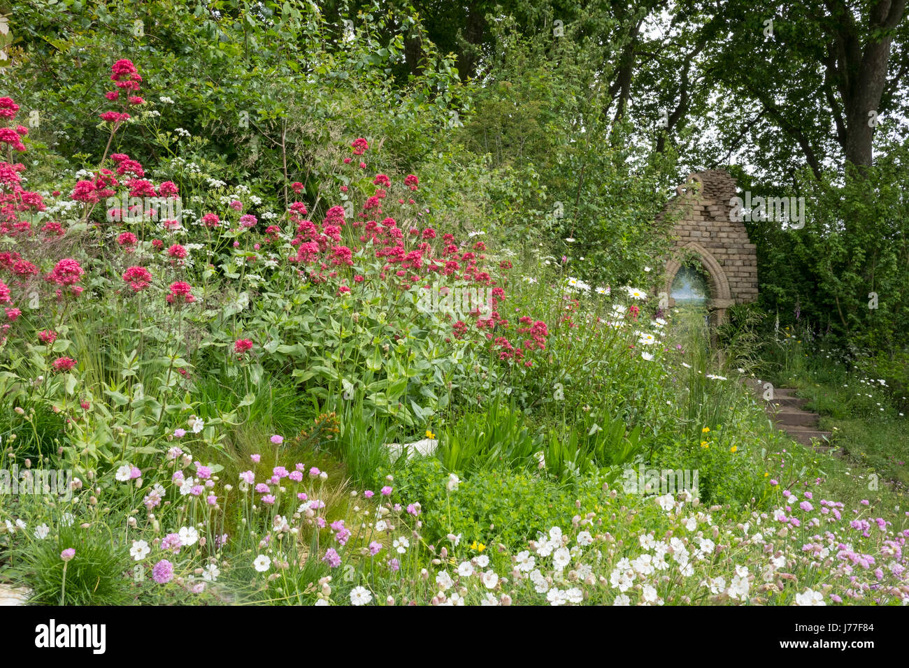 London, UK. 23rd May, 2017. Wild flowers around a ruined abbey in the welcome to Yorkshire Garden at the RHS Chelsea Flower Show, May 22, 2017, London, UK Credit: Ellen Rooney/Alamy Live News Stock Photo