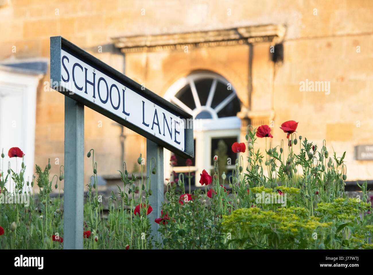 School Lane sign and red poppies in Blockley, Cotswolds, Gloucestershire, England Stock Photo