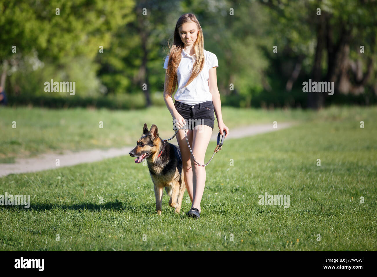 Teenage girl in white shirt with her german shepherd dog walking in the park Stock Photo