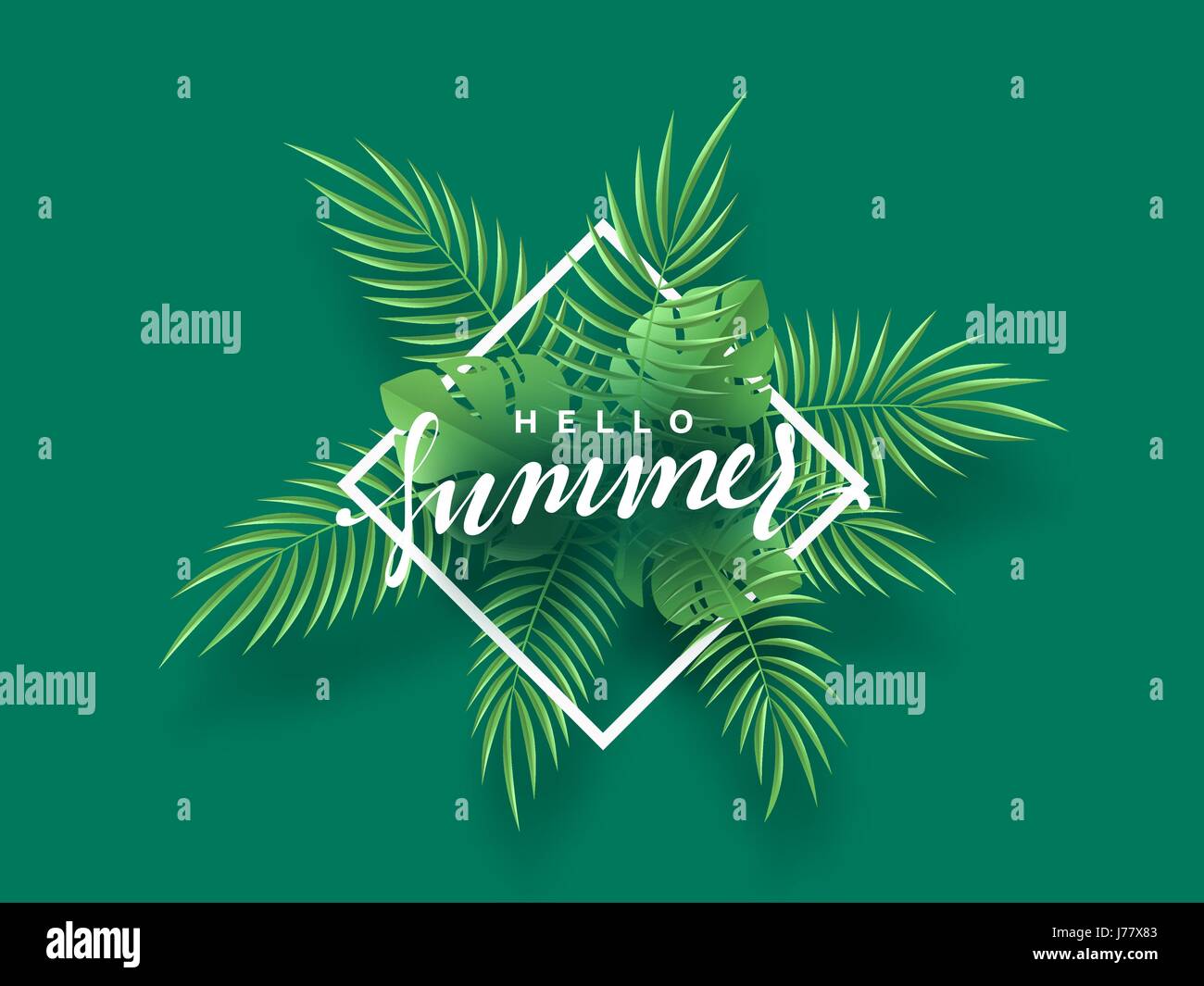 Hello Summer banner tropical background Stock Vector Image & Art - Alamy