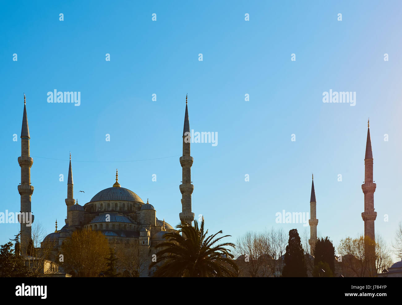 View of the Blue Mosque, Sultanahmet Camii, in Istanbul, Turkey Stock ...