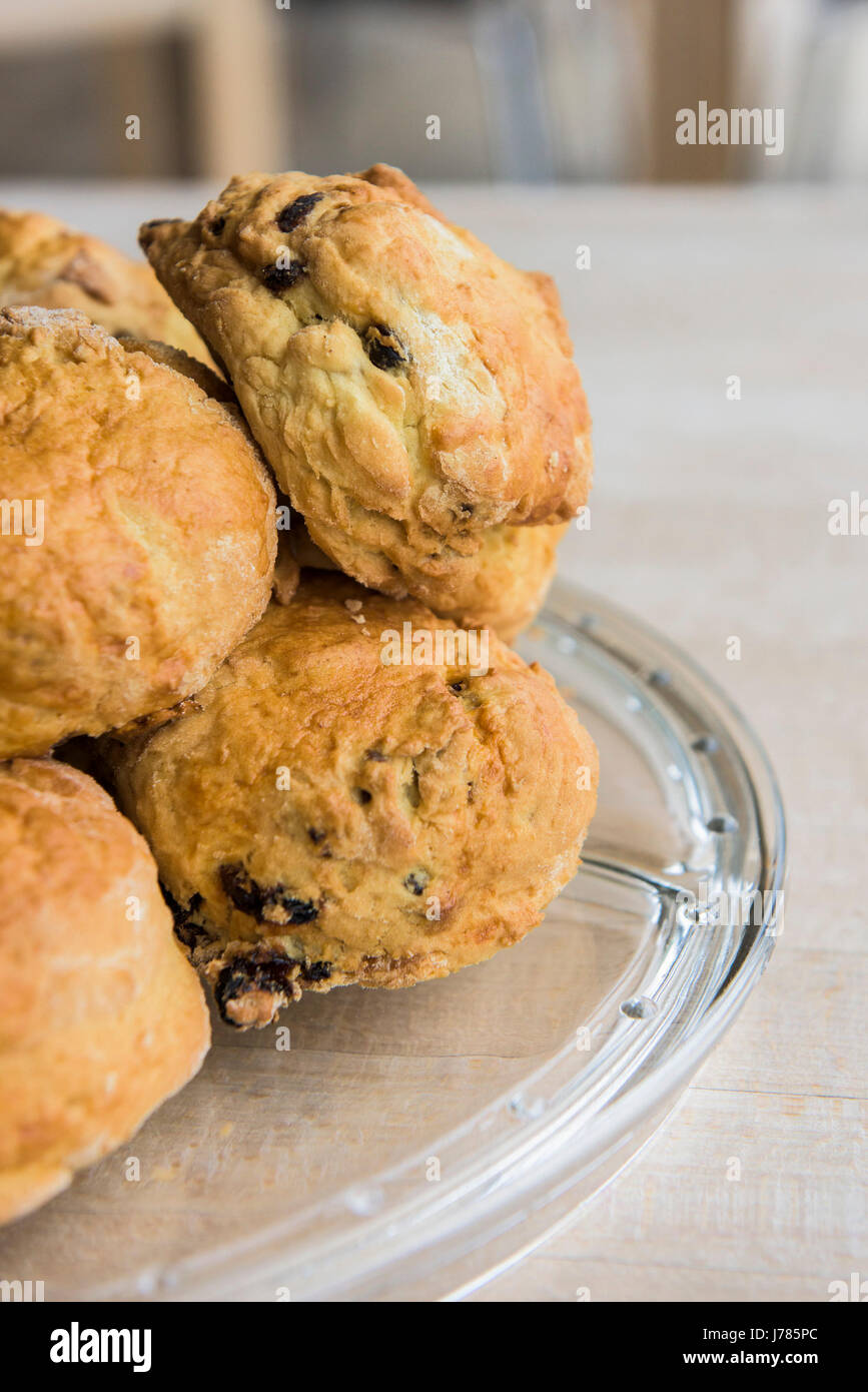 A closeup view of freshly baked scones; Scone; Food; Treat; Traditional; Fresh; Snack; Sultanas; Delicious; Stock Photo