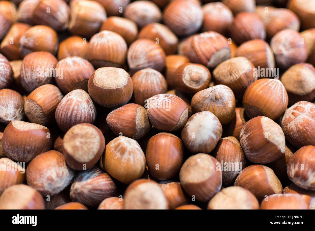 Organic Hazelnut Background. Stack of Raw Hazelnuts Close Up Stock