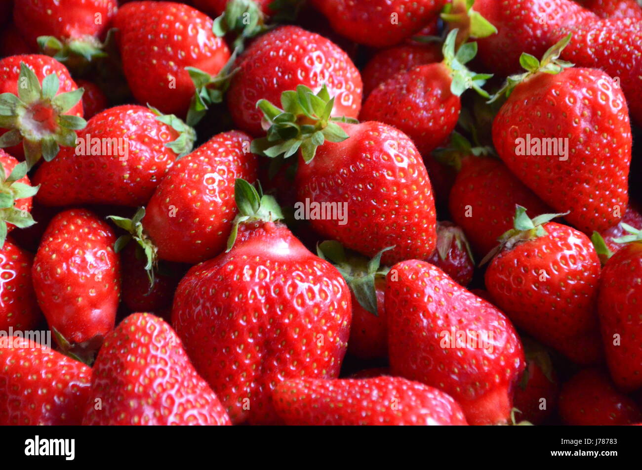 Close-up of fresh red strawberries Stock Photo - Alamy
