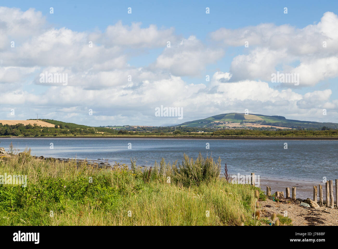 A grassy river bank in ireland overlooking green hills in cheekpoint, county waterford Stock Photo