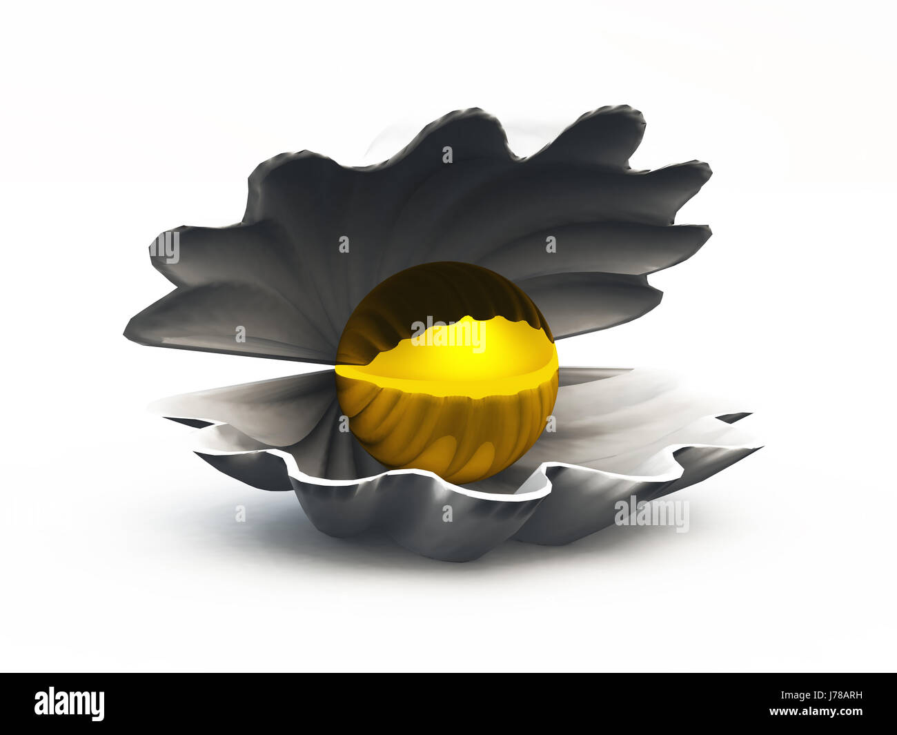 Maya Sea Shells High Resolution Stock Photography and Images - Alamy