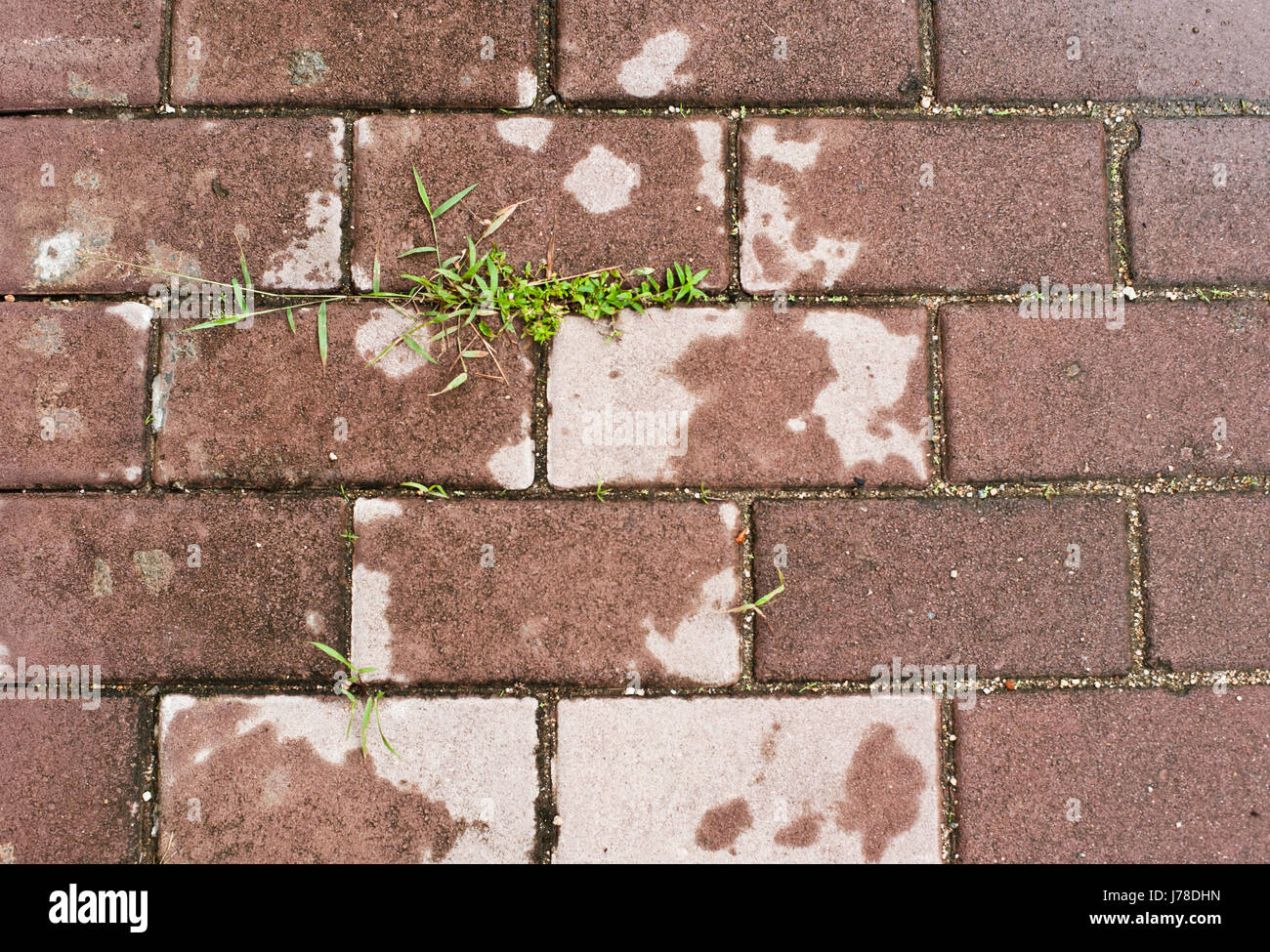 Puddles on rough lane hi-res stock photography and images - Alamy