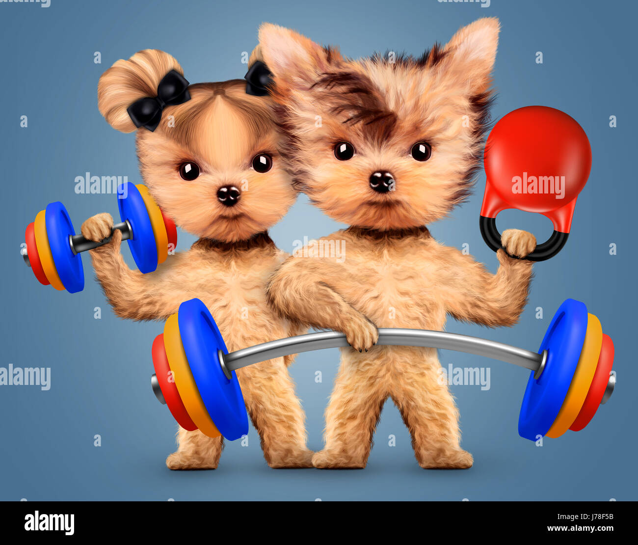 Funny dogs training with barbell and dumbbell Stock Photo