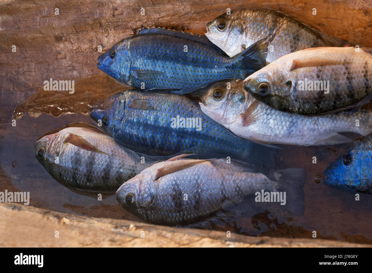 Fish biting at Tchum Lake < Sport