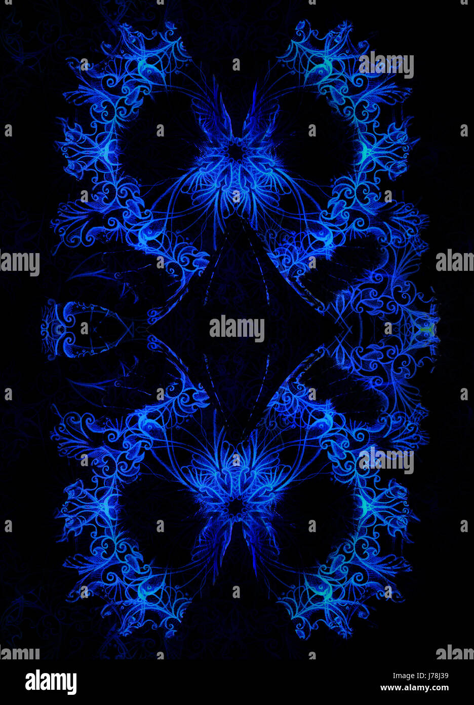 Ornamental Butterfly and black background. Blue butterfly Stock Photo