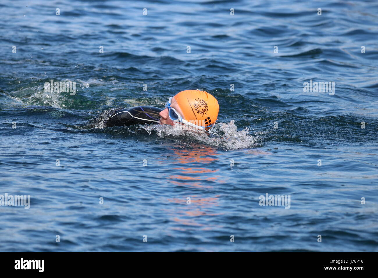 A single female swimmer doing front crawl during a triathlon at Dorney Lake Stock Photo