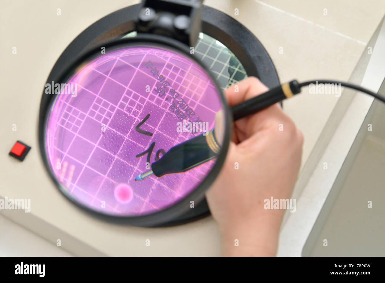 Scientist hand Scraping Petri Dish magnifier lens Stock Photo