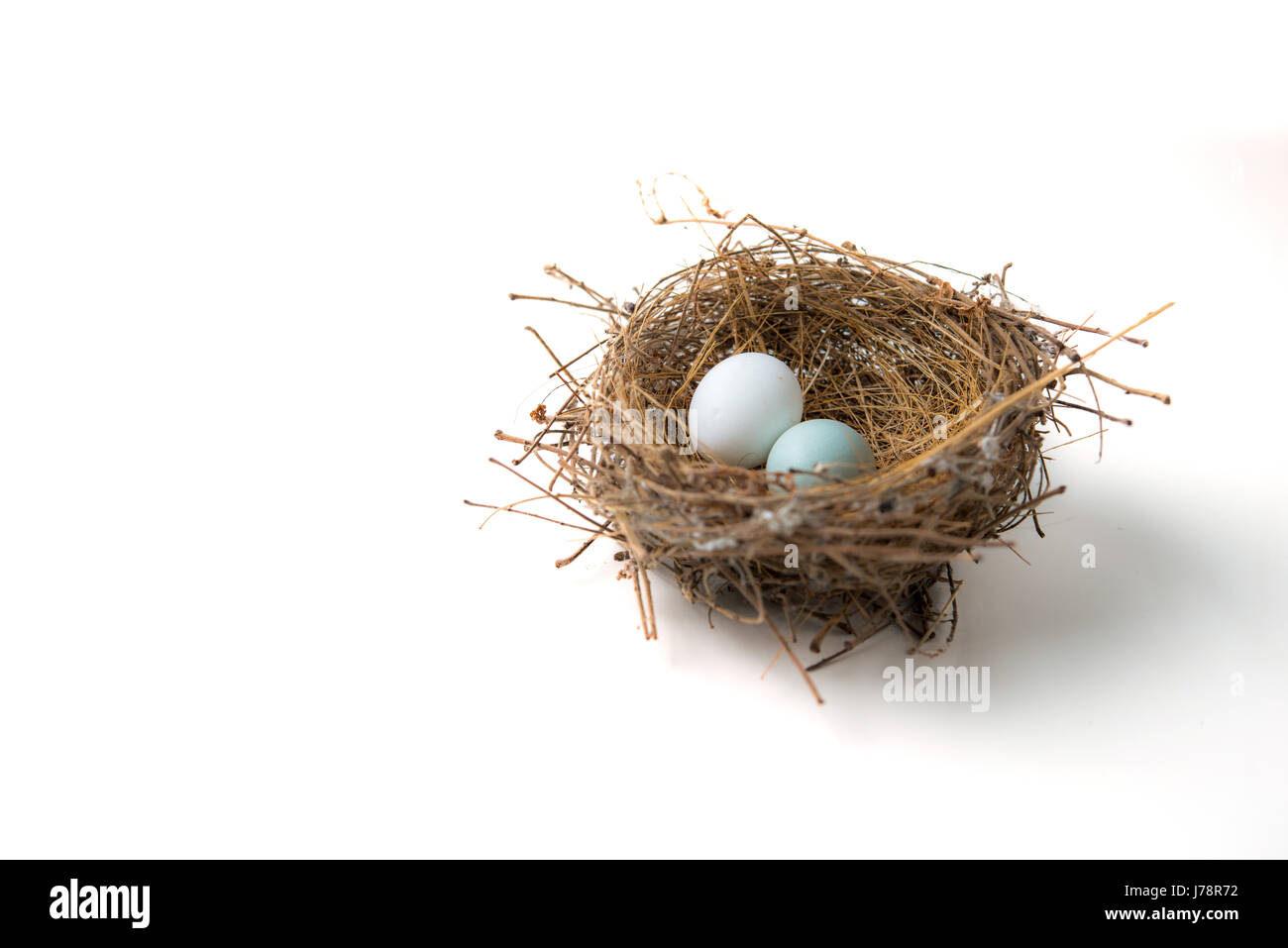 white and green eggs in bird nest Stock Photo - Alamy