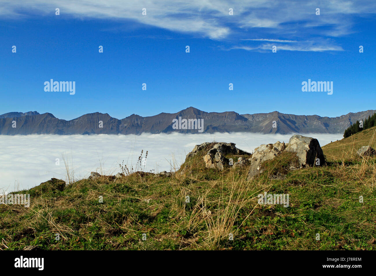 alps hike go hiking ramble fog switzerland mountain bern migrate abandon go Stock Photo