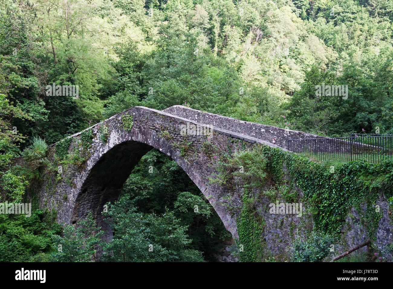 Old stone bridge foundation hi-res stock photography and images - Alamy