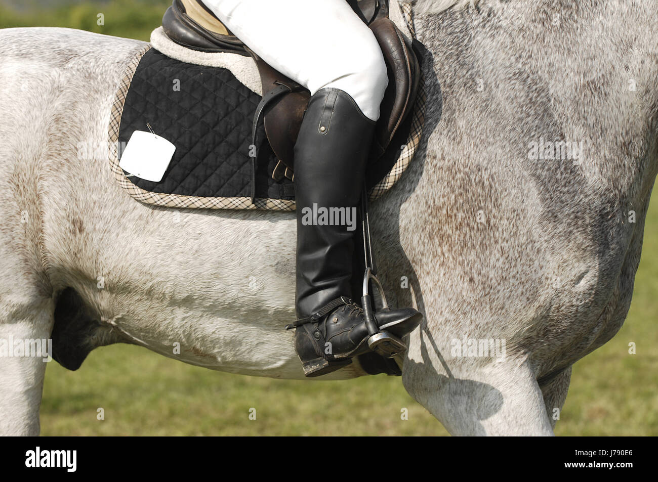 sport sports ride horse horseriding boot legs sport sports ride horse animal Stock Photo