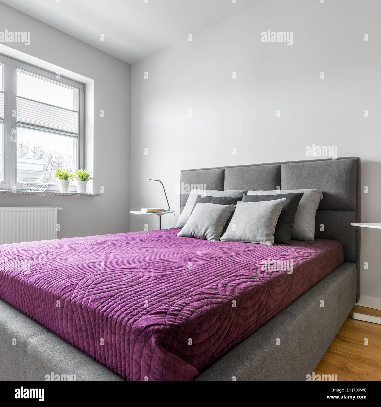 Simple White Bedroom With Grey Upholstered Bed Nightstand