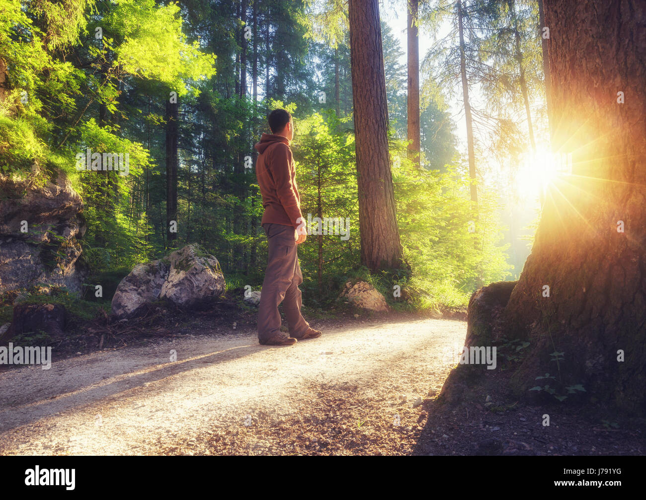 Man standing at the sunny forest path Stock Photo - Alamy