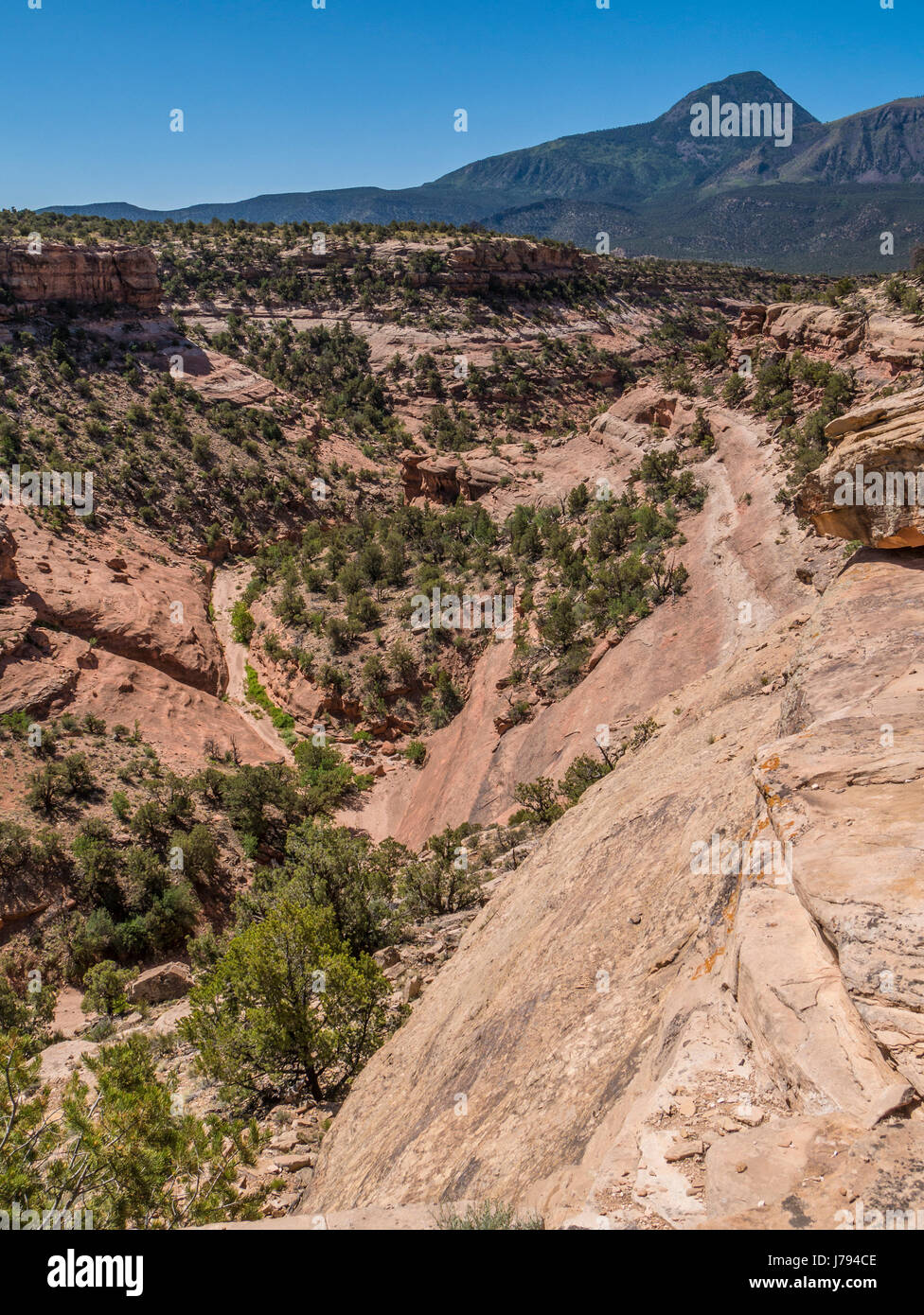 Sand canyon, canyon of the ancients hires stock photography and images