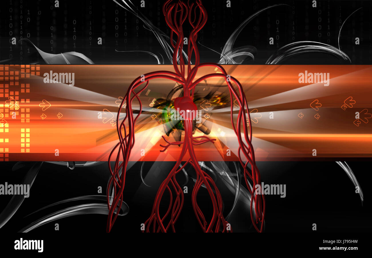 Circulation Graphics object education circulation graphics colour human human being Stock ...