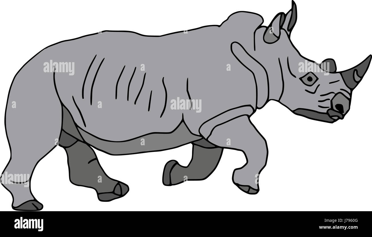 isolated colour animal illustration paint draw cartoon rhino rhinoceros  danger Stock Photo - Alamy