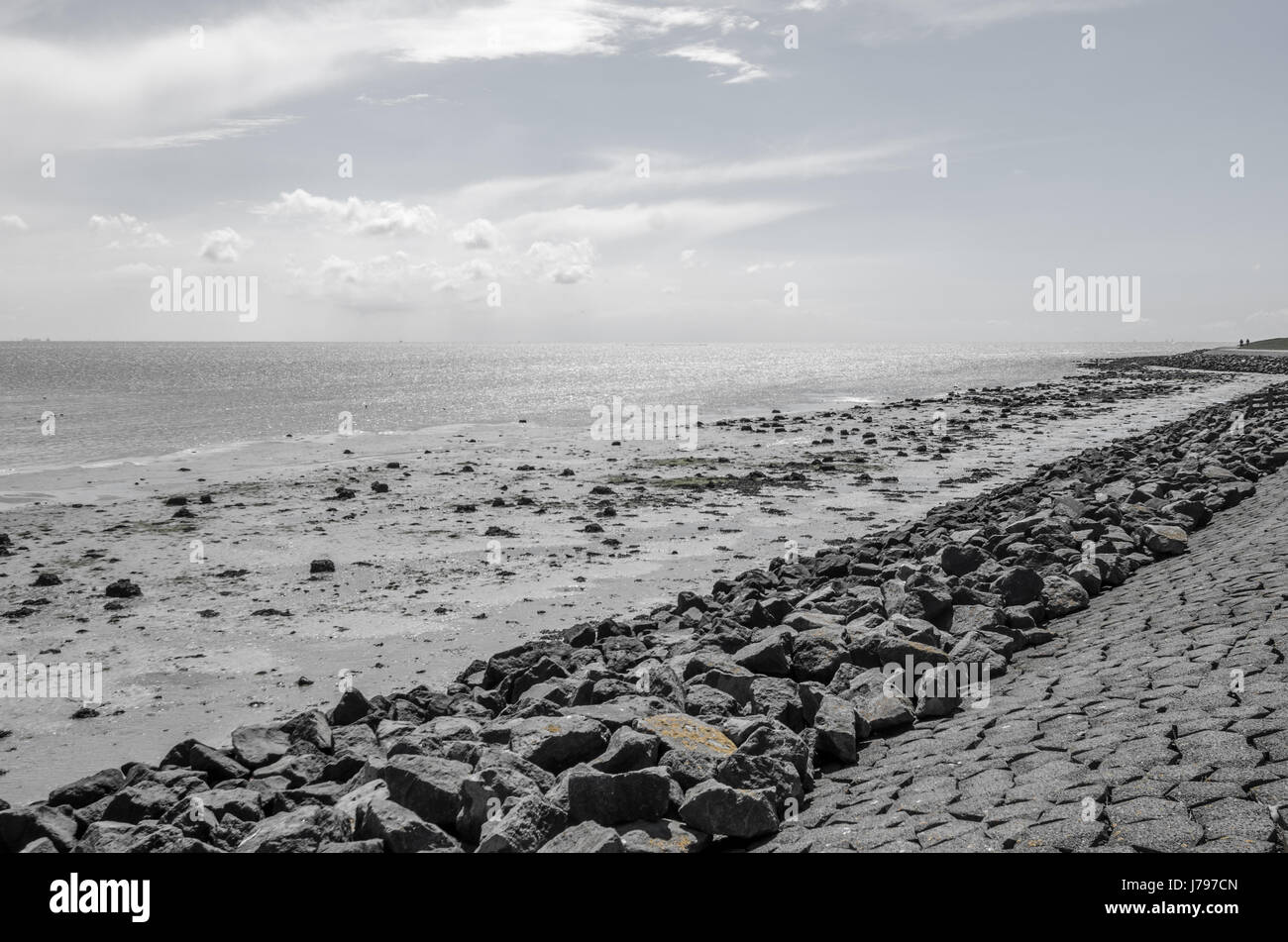 Coast in black and white hi-res stock photography and images - Alamy