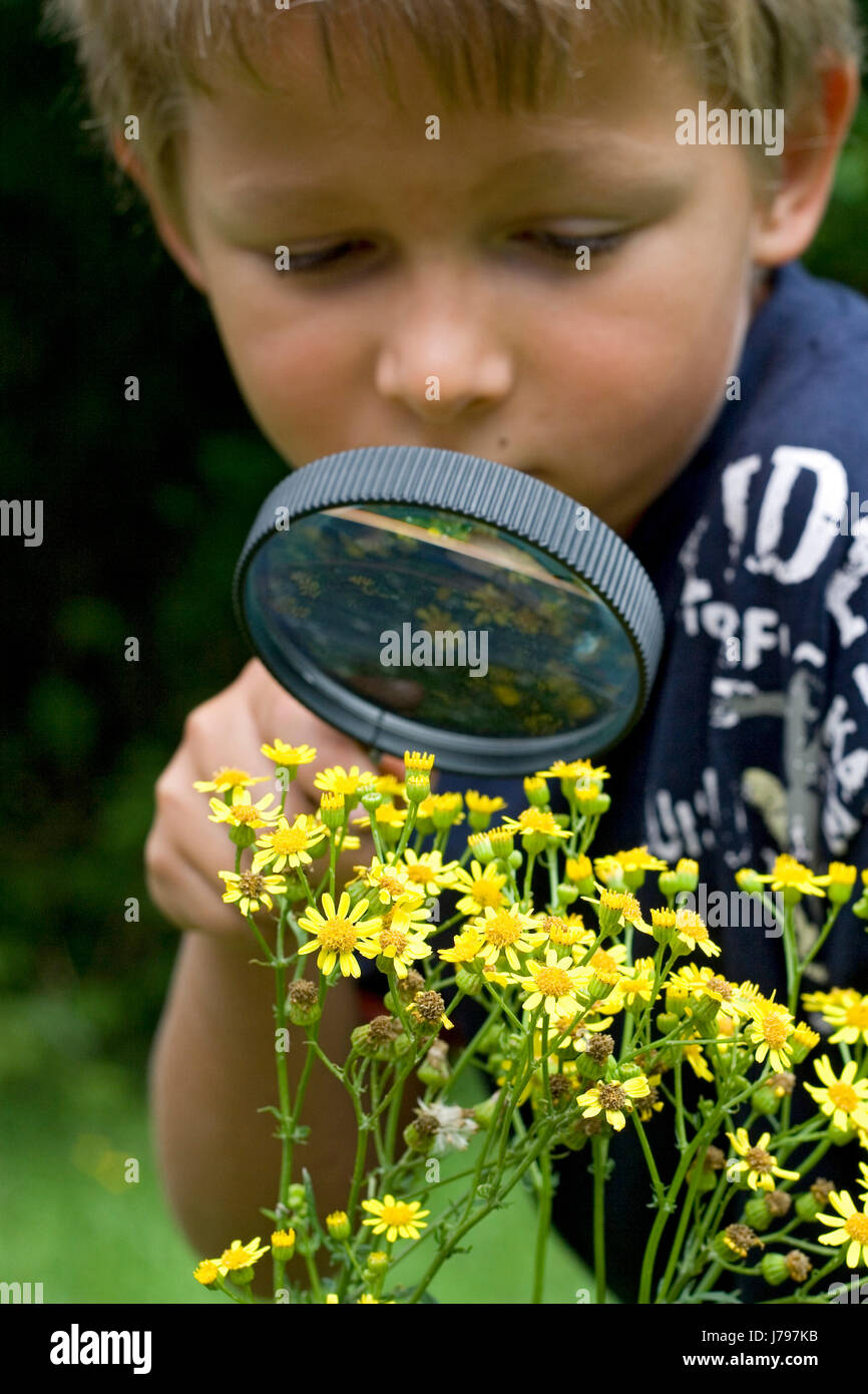 young investigated a thistle with a magnifying glass (mr) Stock Photo
