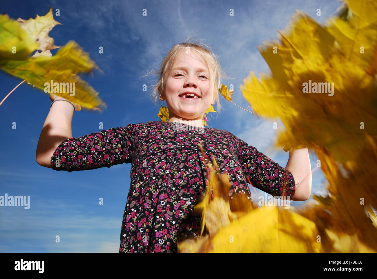 autumn portrait Stock Photo