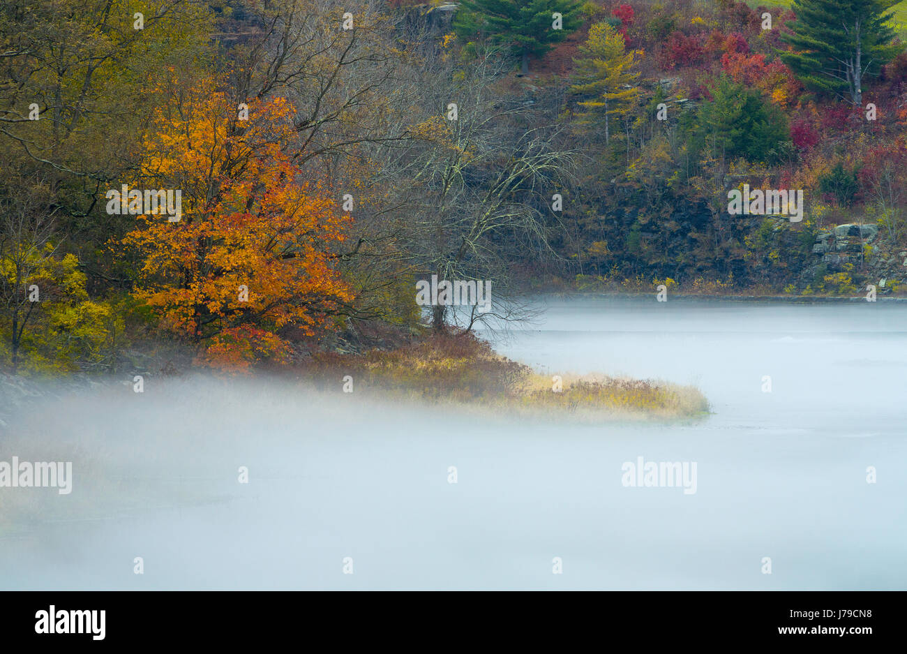 Fog hovers above the Little Delaware River of New York in the Catskill Mountains in fall. USA Stock Photo