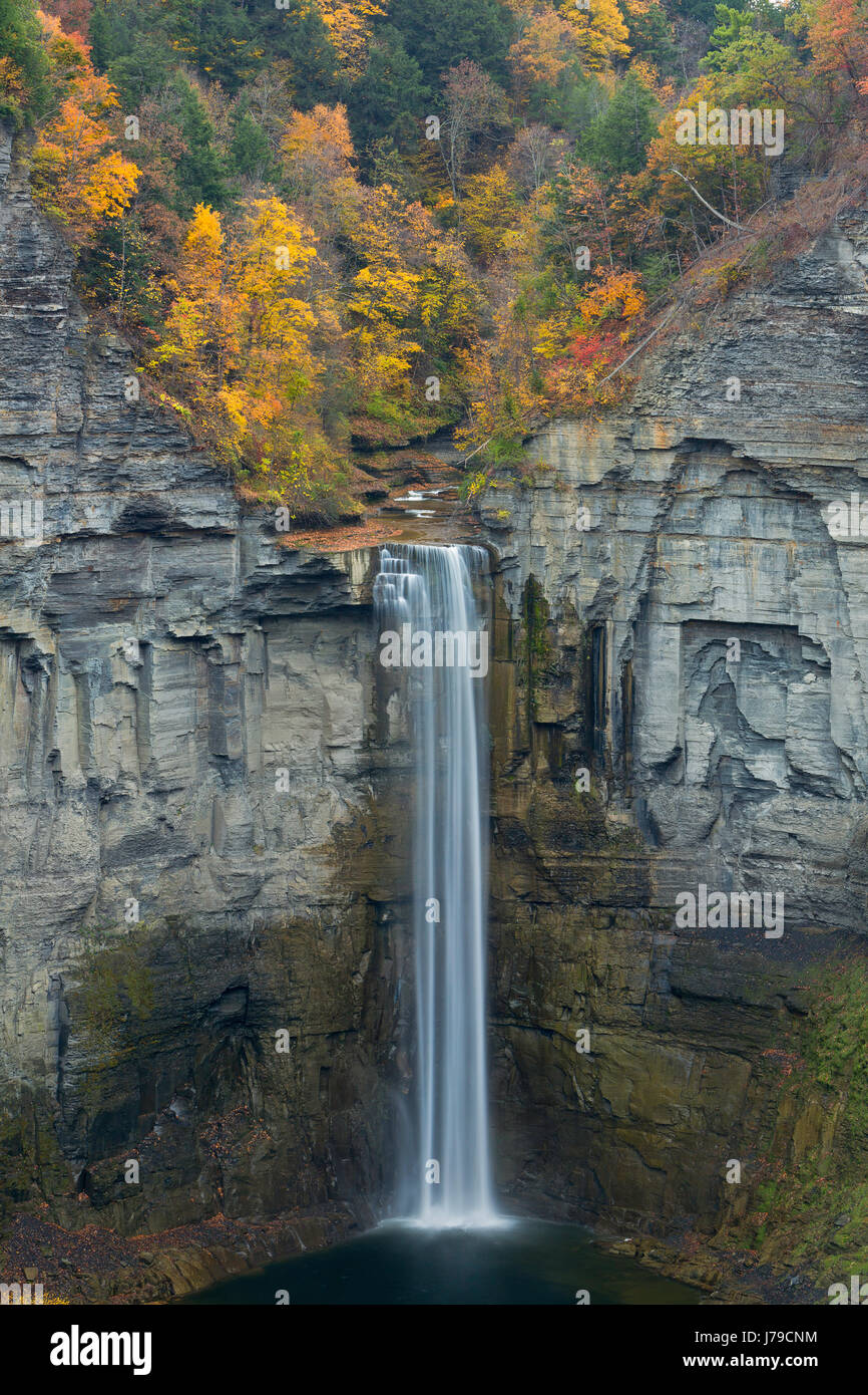 Fall color surrounds Taughannock Falls at Taughannock Falls State Park in New York. USA Stock Photo