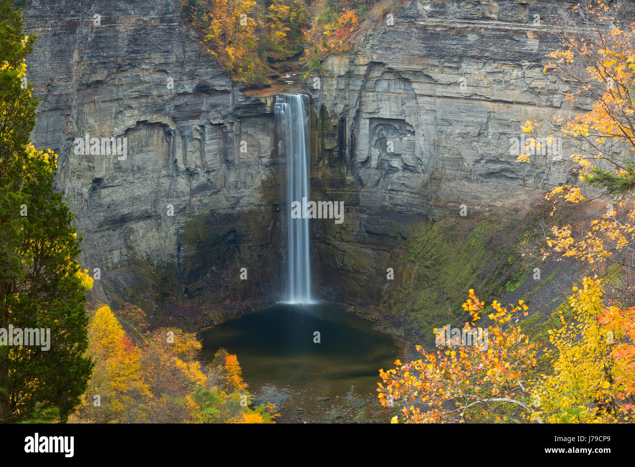Fall color surrounds Taughannock Falls at Taughannock Falls State Park in New York. USA Stock Photo