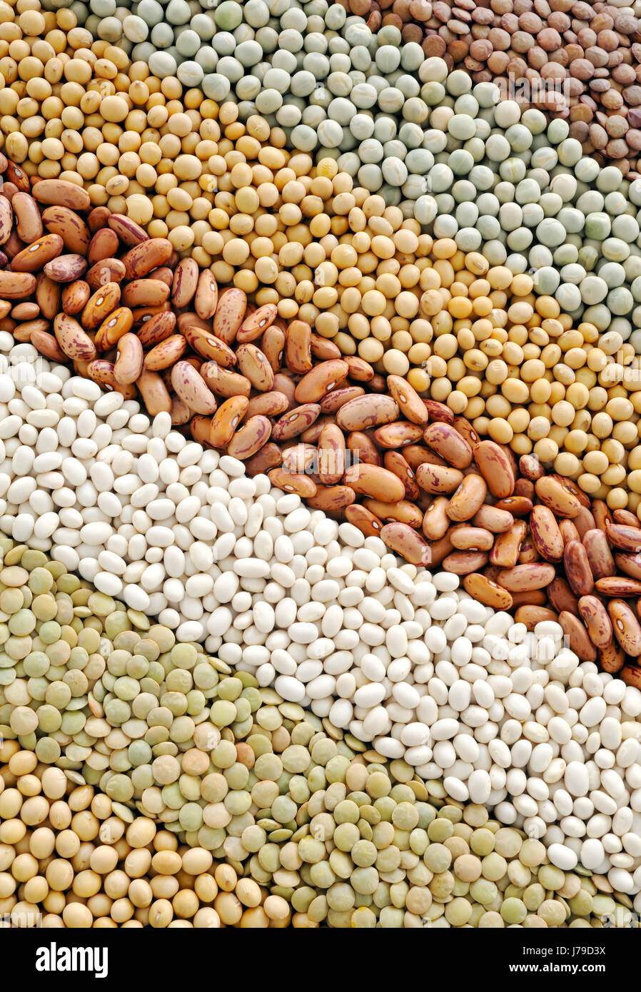 beans peas soy soya legume mixture backdrop background food aliment