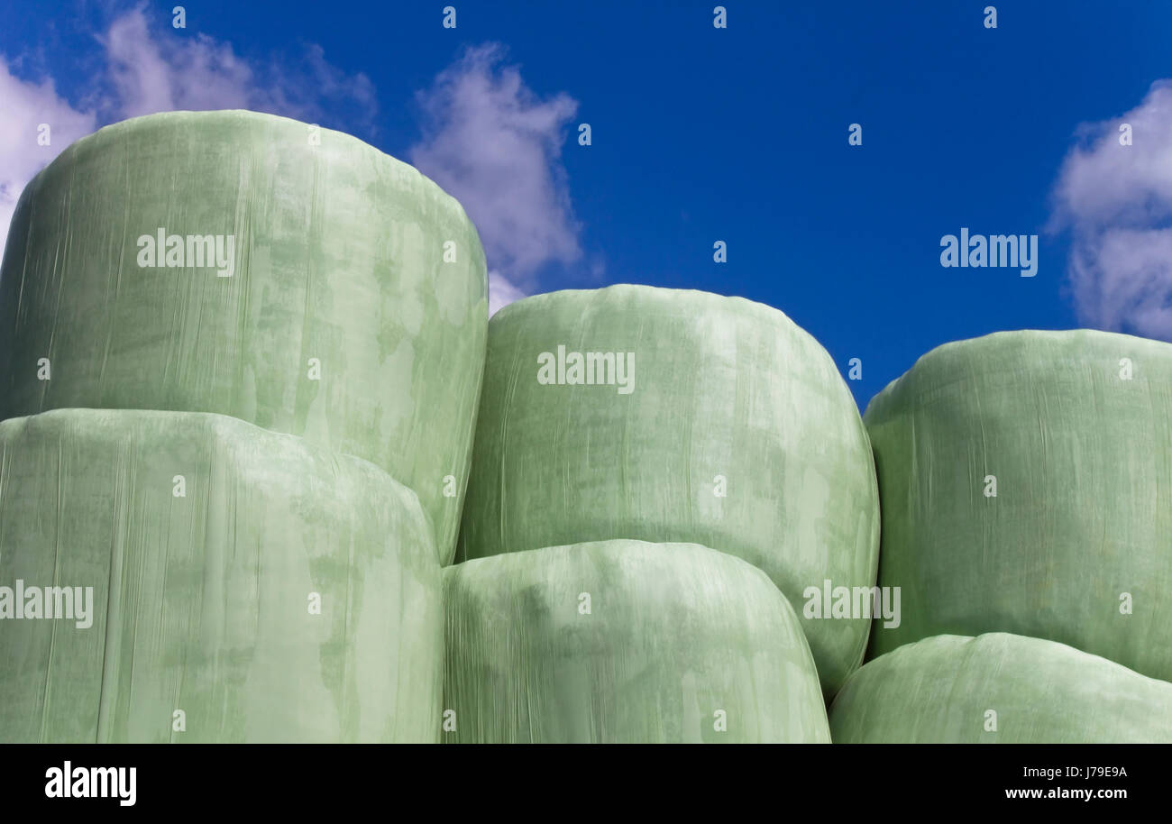 wrapped hay bales Stock Photo Alamy