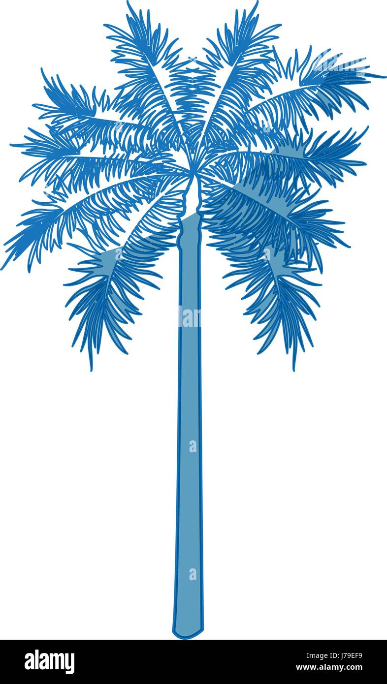 Date palm tree leaves Stock Vector Images - Alamy