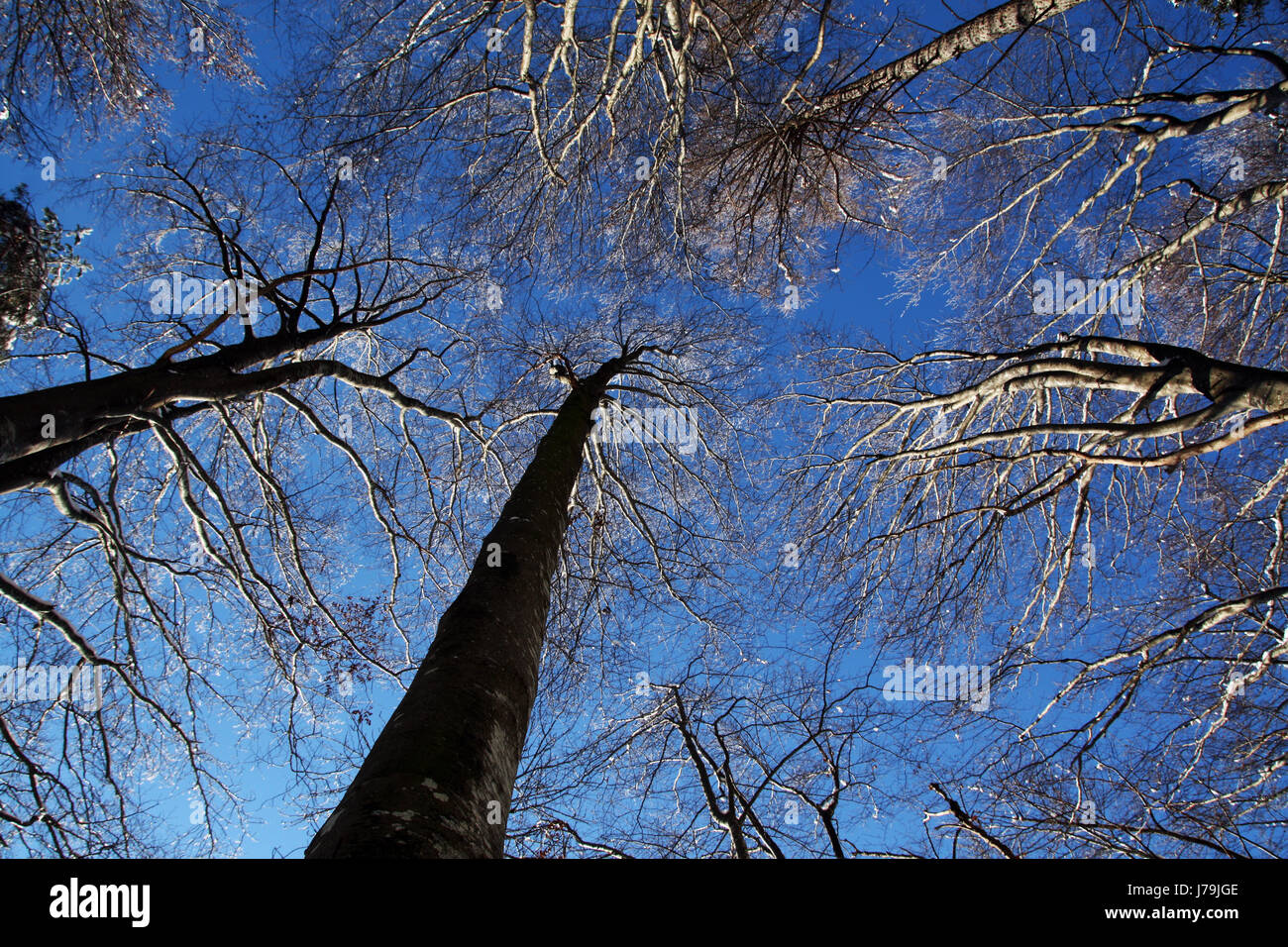 eyes in the sky Stock Photo Alamy