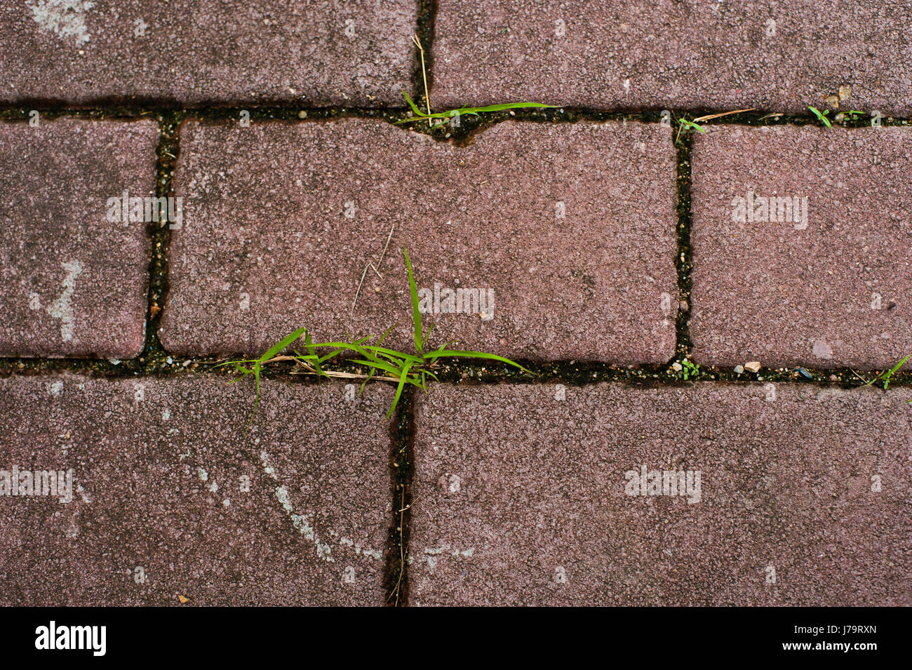 Puddles on rough lane hi-res stock photography and images - Alamy