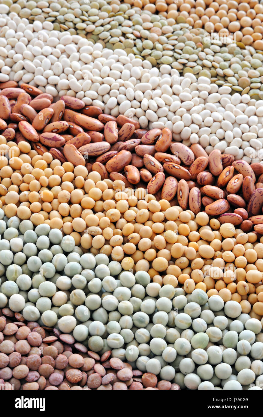 beans peas soy soya legume mixture backdrop background food aliment