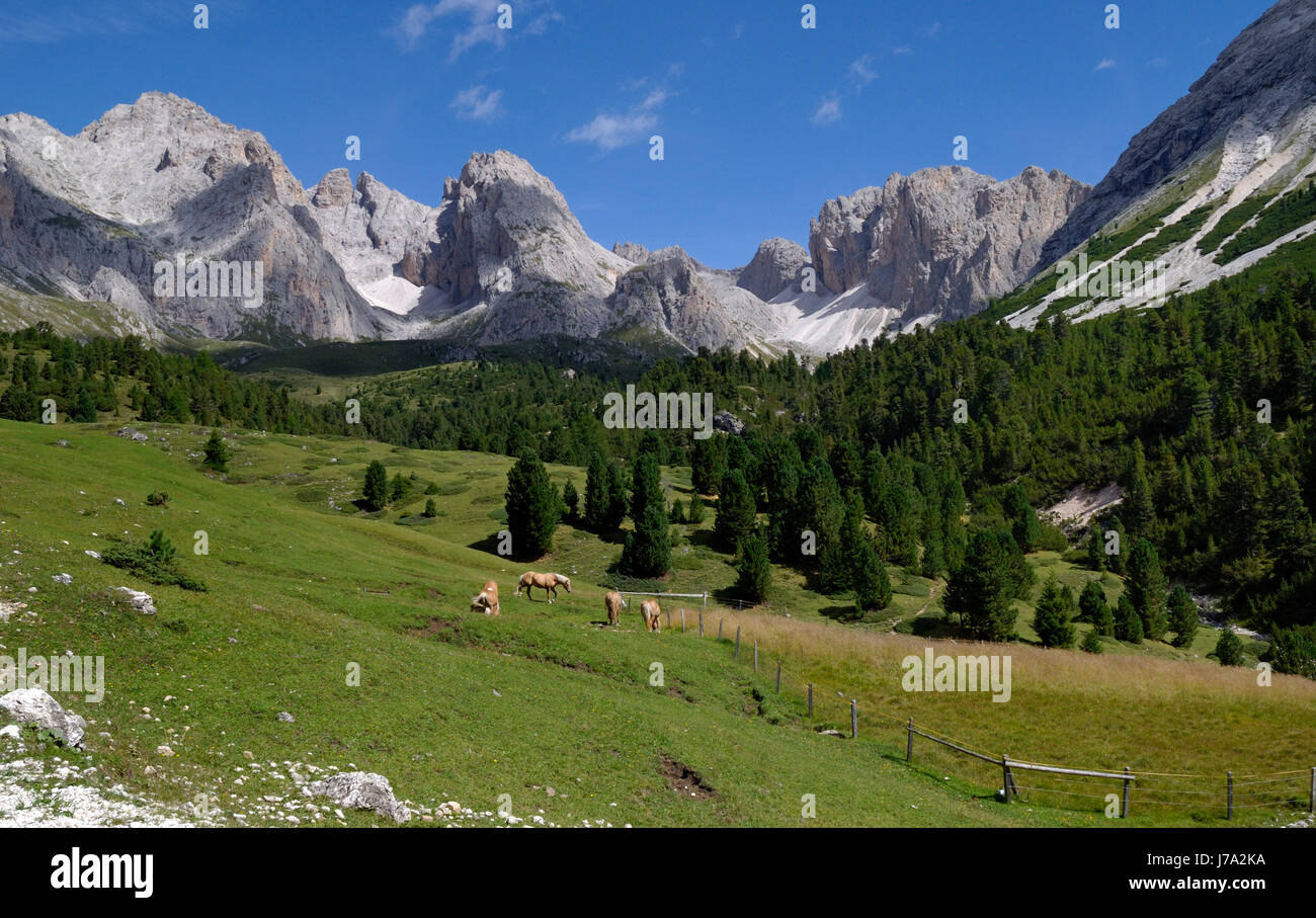 Spannende Campingpltze In Sdtirol Ebenbild