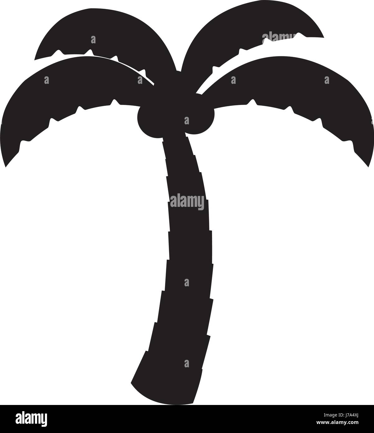 tree palm with coconut Stock Vector Image & Art - Alamy