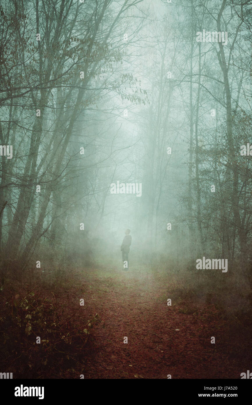 Mann auf Waldweg bbei Nebel, Wuppertal, Deutschland Stock Photo