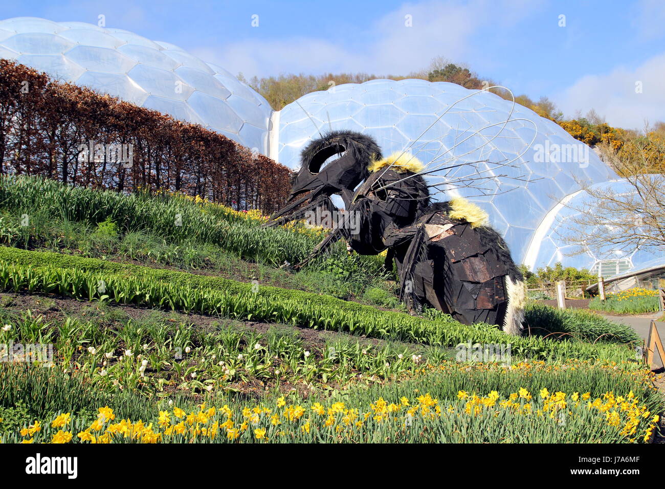 Bodelva, Cornwall, UK - April 4 2017: Giant bee sculpture and biomes at the Eden Project Environmental exhibition in Cornwall, England Stock Photo