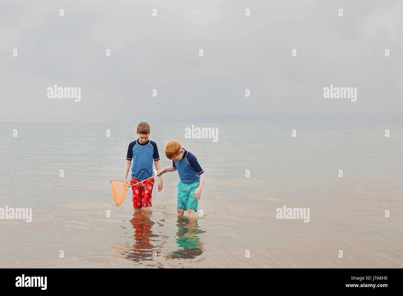 Two boys with dip net in the sea Stock Photo