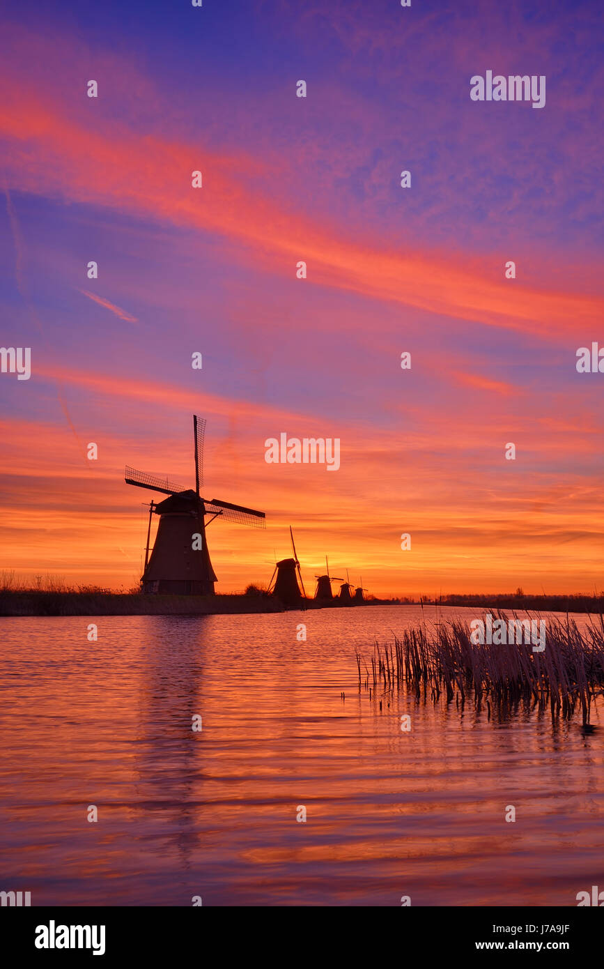 Windmills in a row along a canal in Kinderdijk at colourful sunrise. UNESCO World Heritage Site. Kinderdijk, Rotterdam, South Holland, Netherlands, Eu Stock Photo