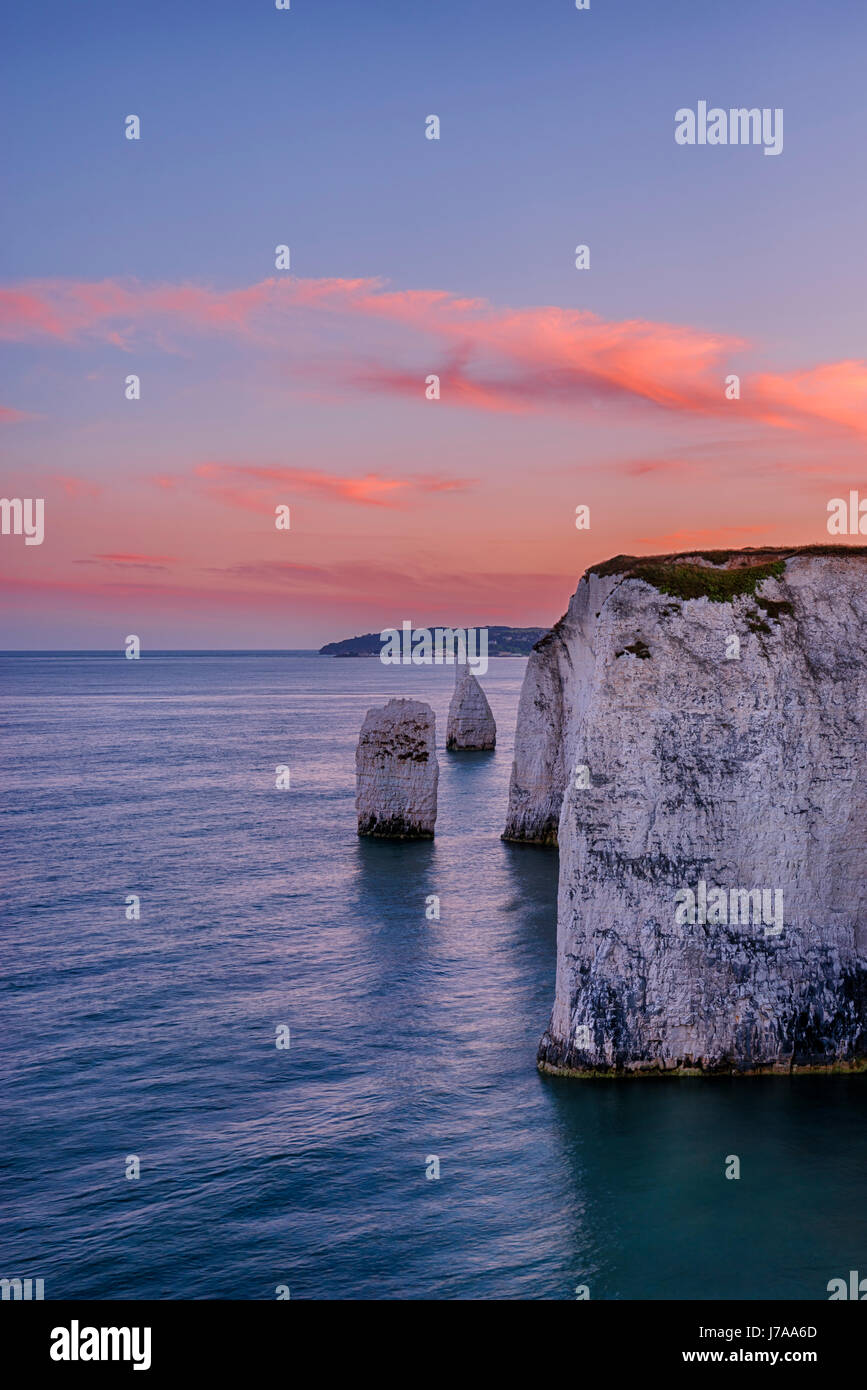 Old Harry Rocks Chalk Cliffs And Sea Stacks Dusk Sunset UNESCO 