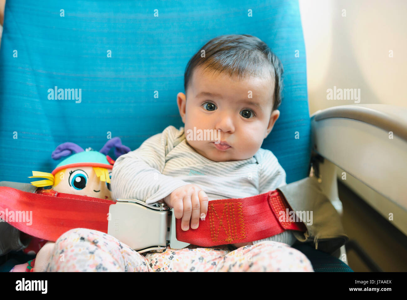 Seat Belt Plane Stock Photos & Seat Belt Plane Stock Images Alamy