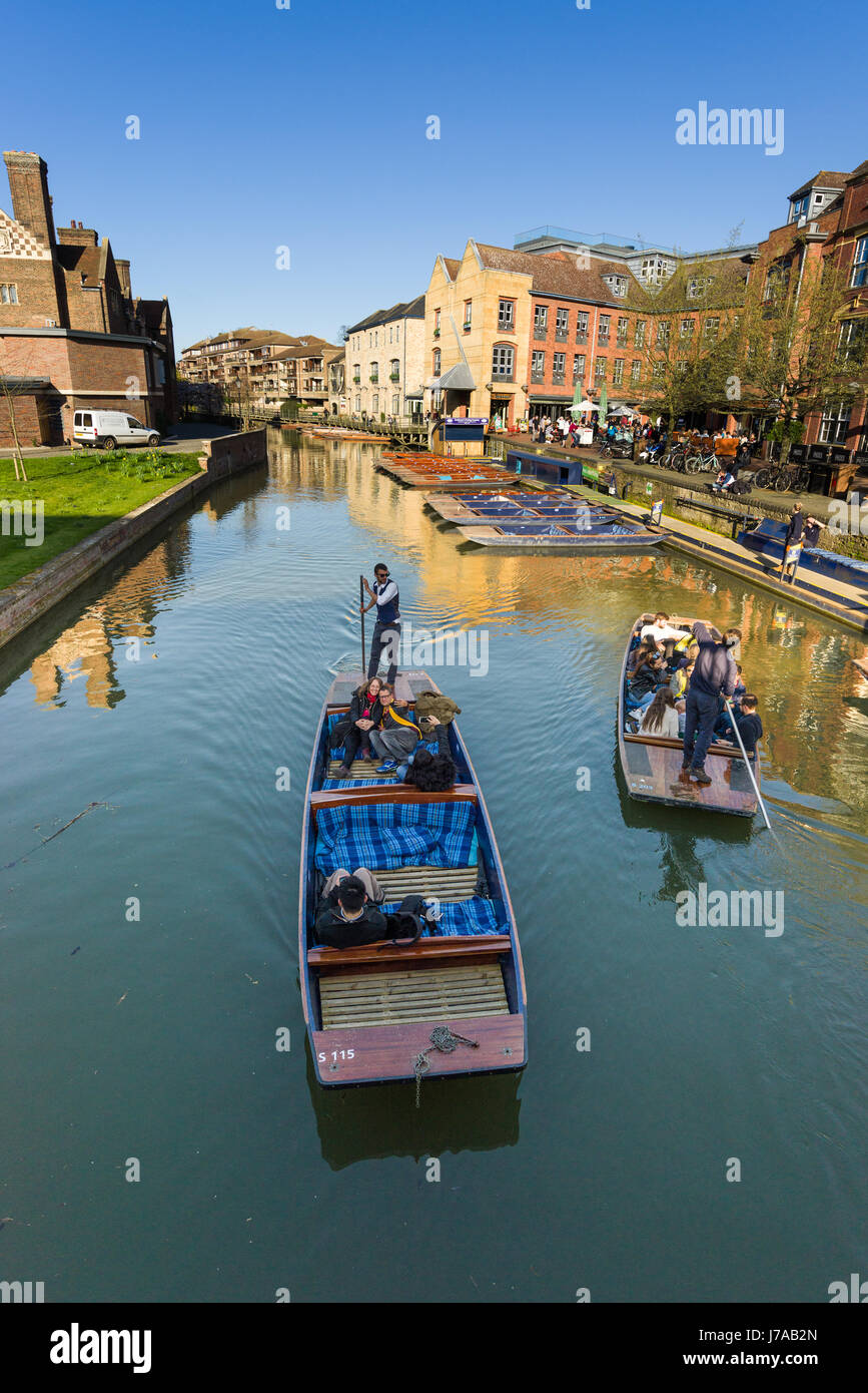 Tourists On Punt Boats On The River Cam With Buildings In Background On A Sunny Spring Day, Cambridge, United Kingdom Stock Photo