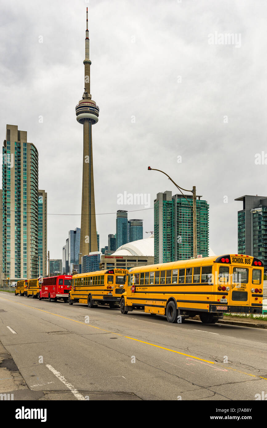School Buses Lined Up On Street With CN Tower In Background, Toronto, Canada Stock Photo